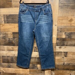 Bloomchic Elastic Waist Denim Jeans Women's Size‎ 20